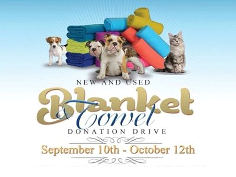 blanket-drive-1