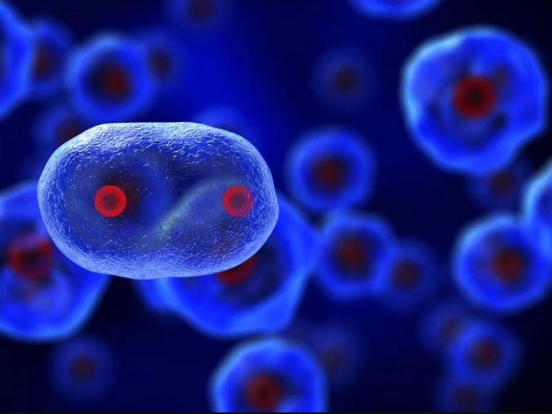 csq-bio-1-1